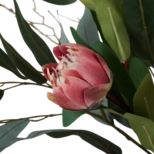 Protea Eucalyptus Mix-Alana Vase