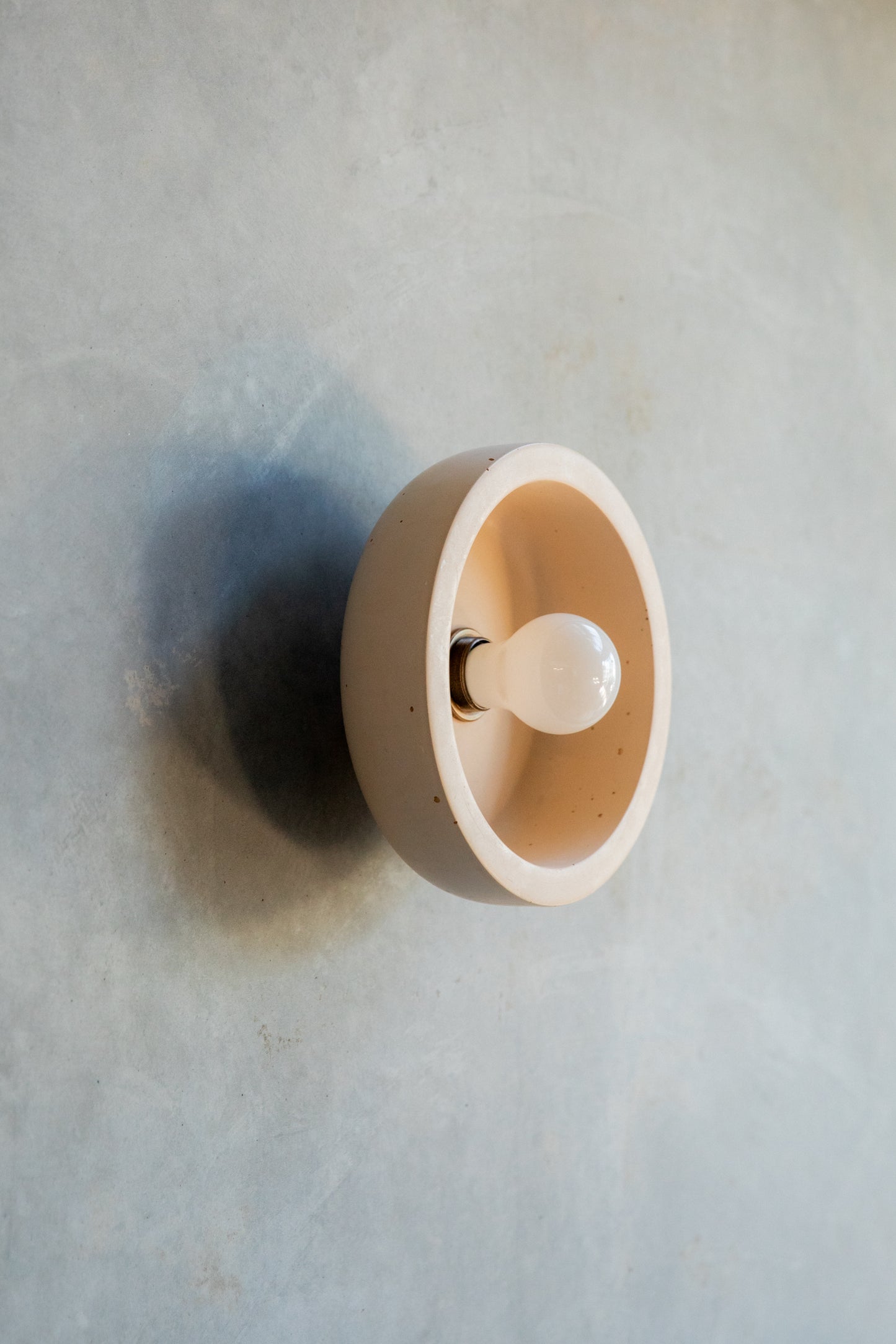 Small Hakea Wall Sconce