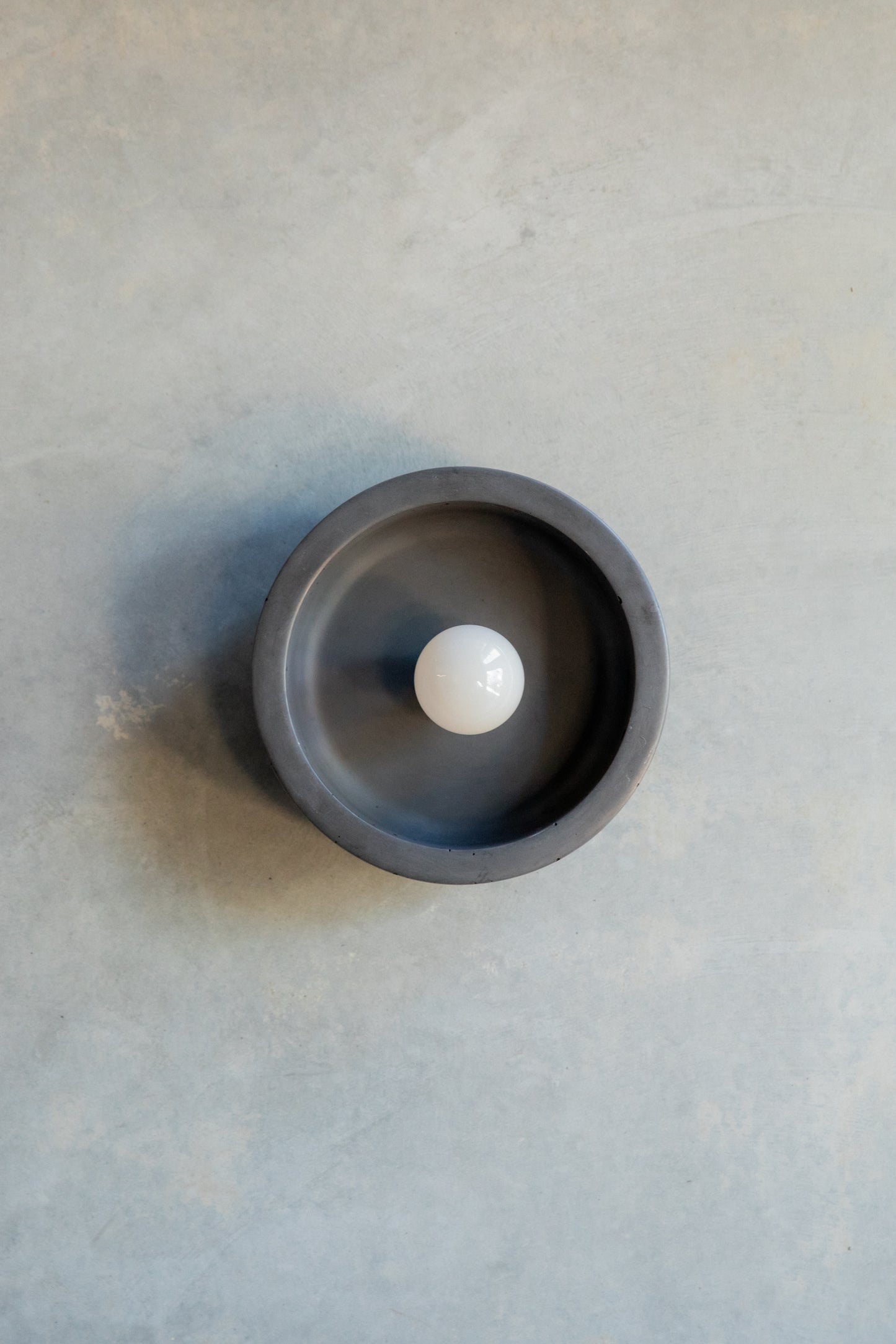 Small Hakea Wall Sconce