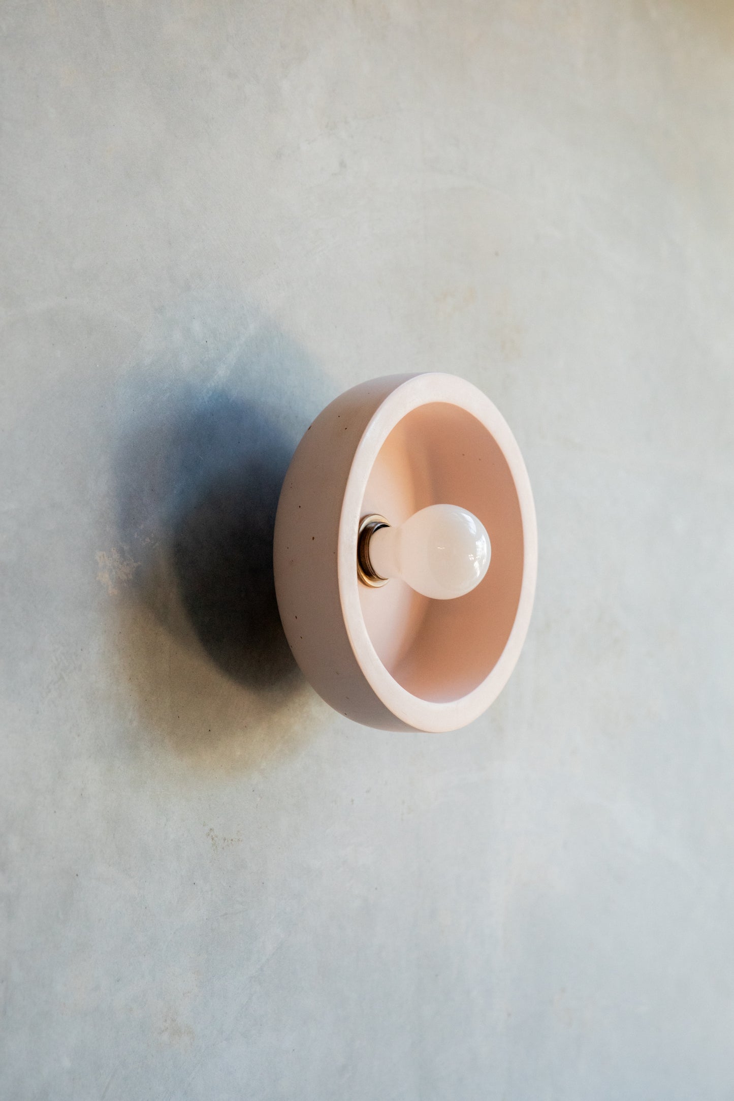 Small Hakea Wall Sconce