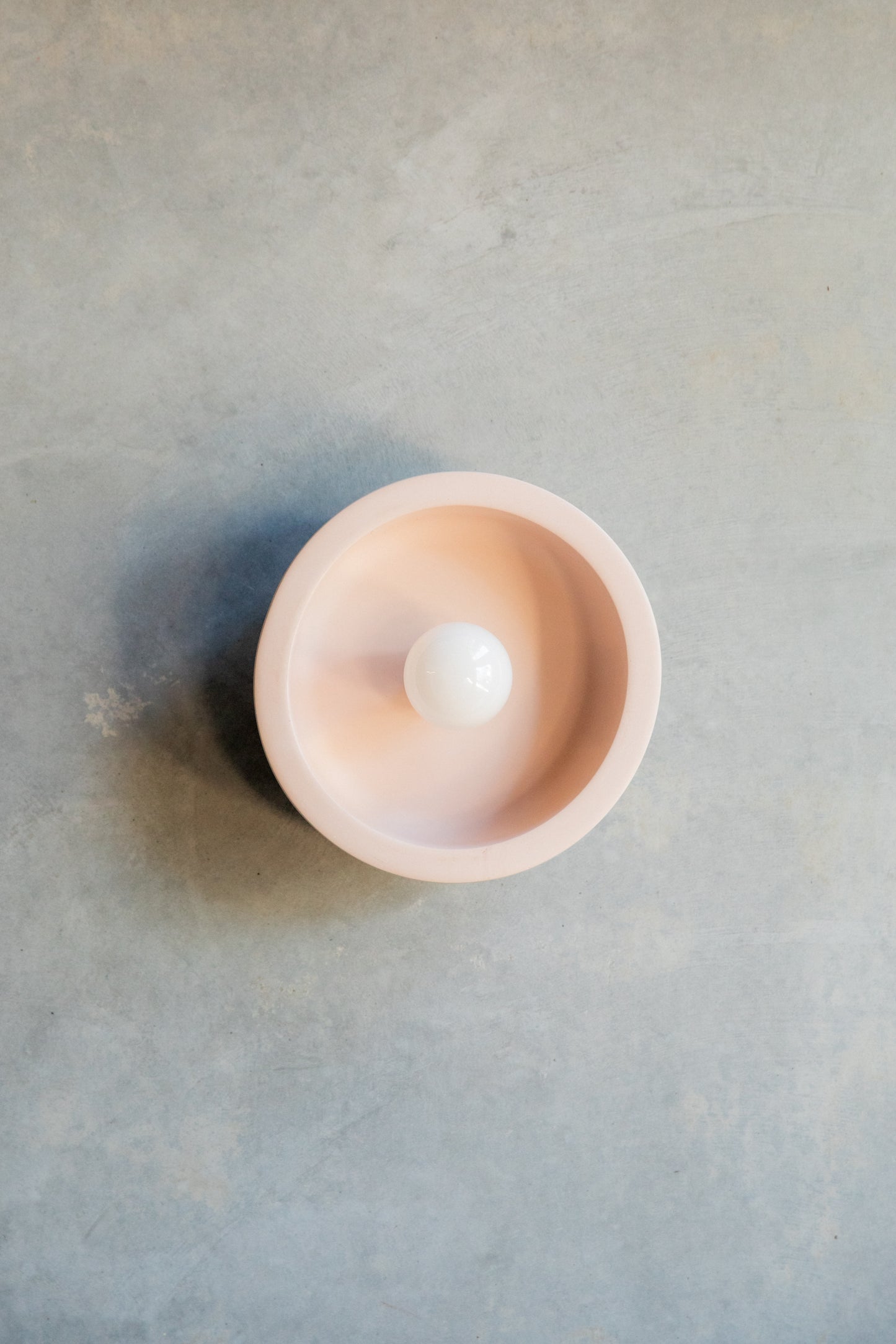 Small Hakea Wall Sconce