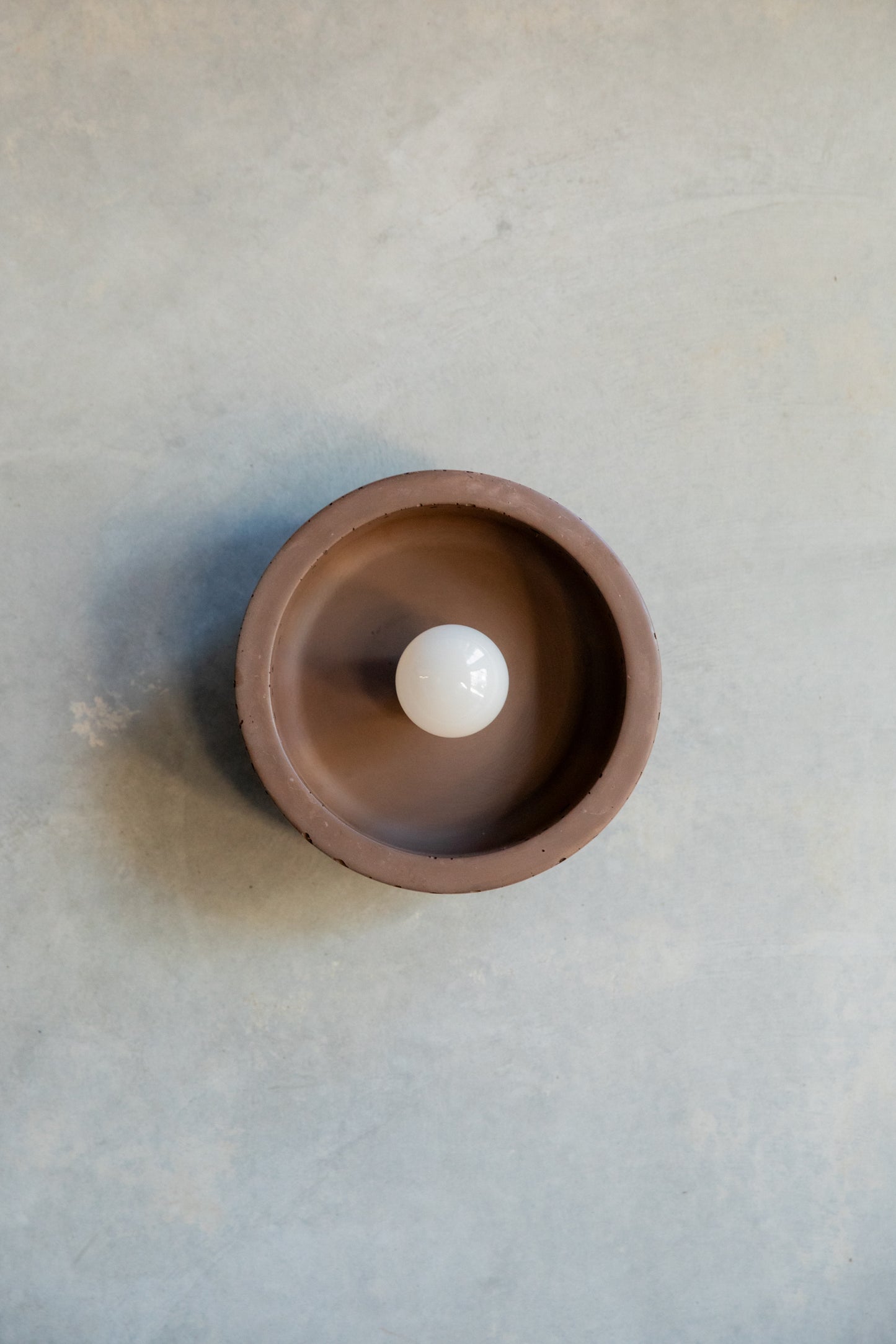Small Hakea Wall Sconce