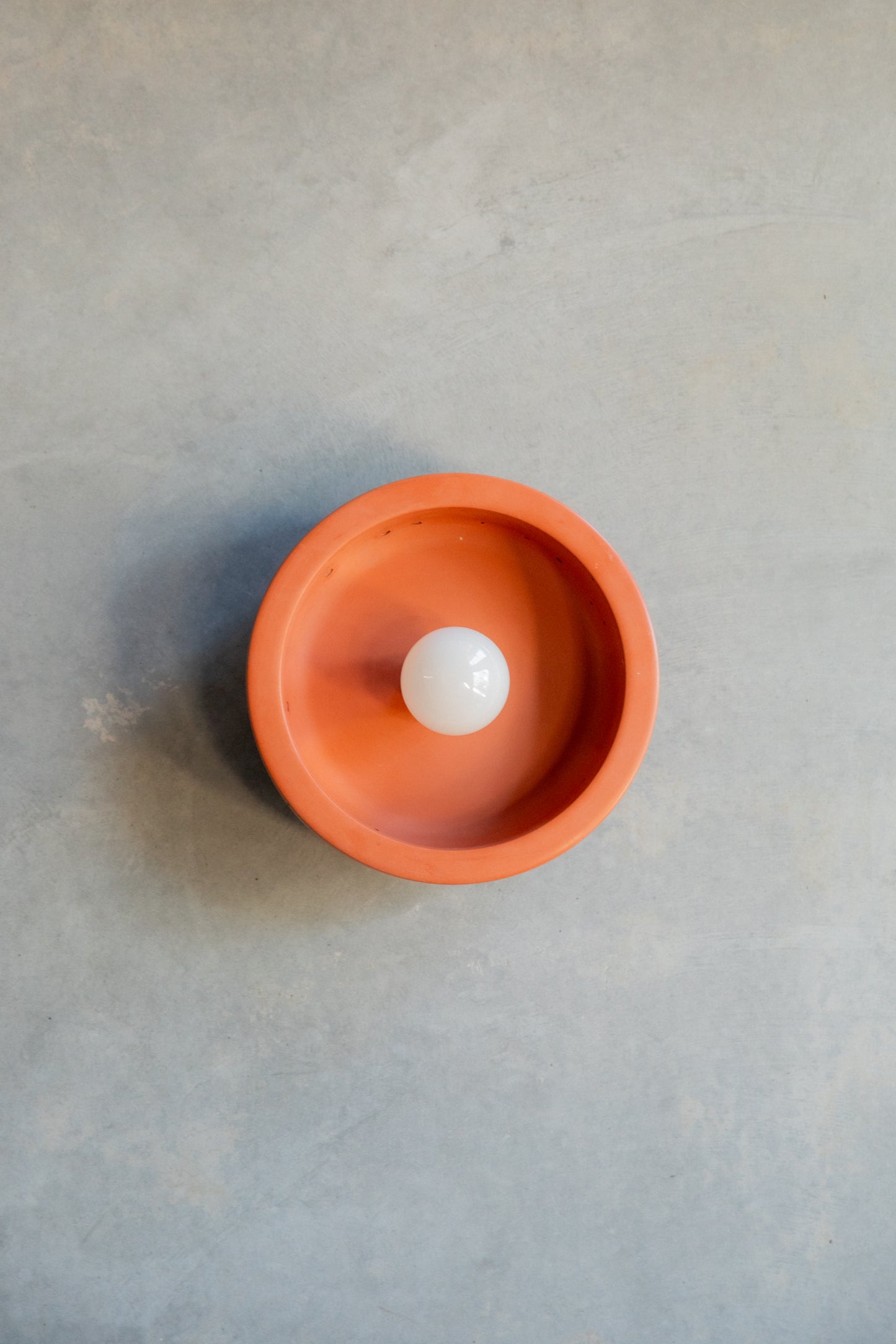 Small Hakea Wall Sconce