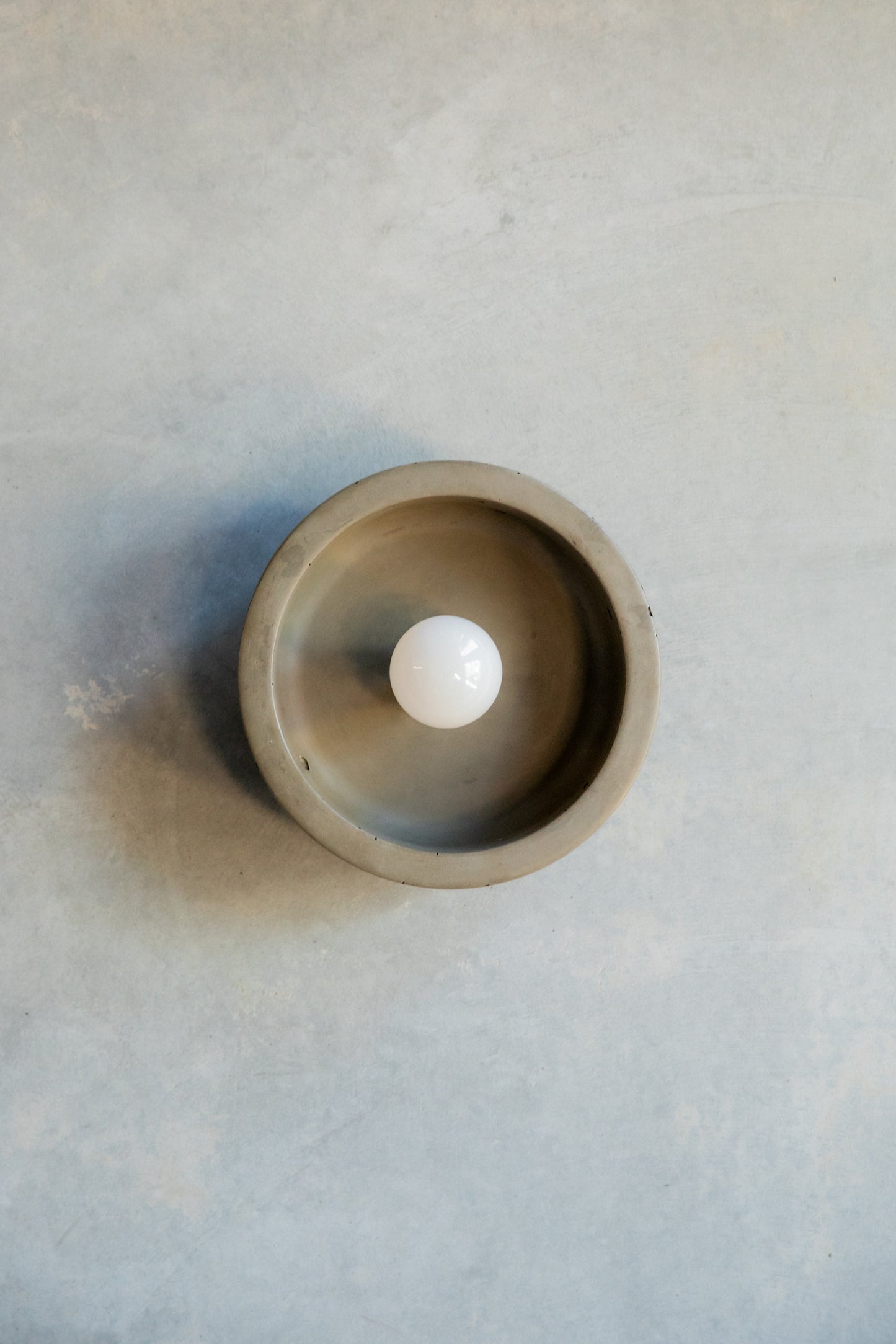 Small Hakea Wall Sconce