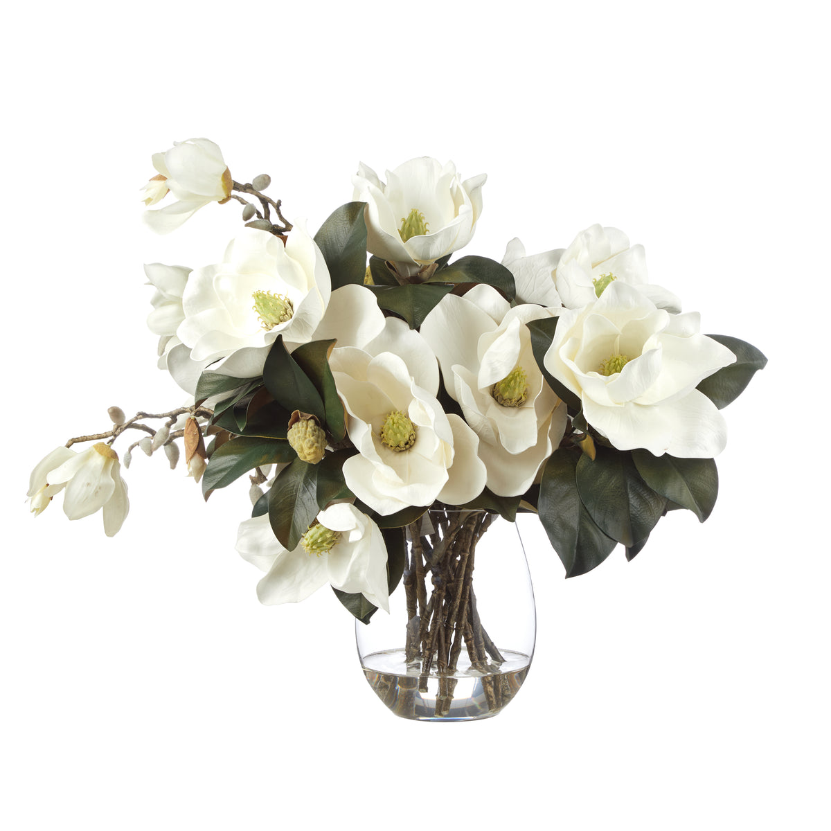 Magnolia Grandiflora in Claire Vase