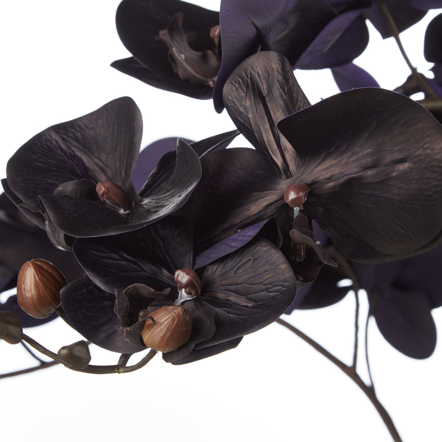 PHALAENOPSIS ORCHID-VIENNA TALL PLANTER BLACK