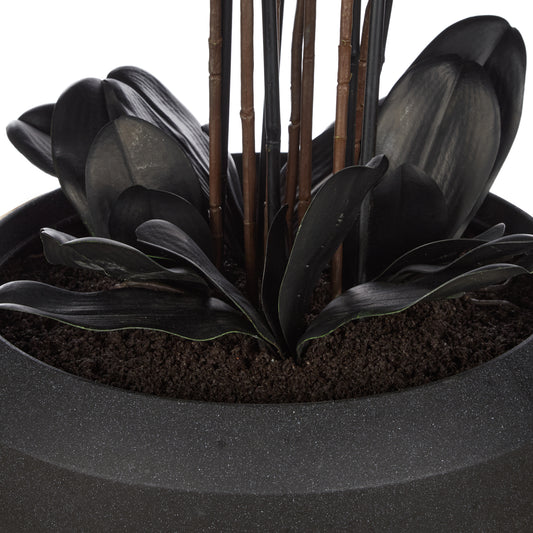 PHALAENOPSIS ORCHID-VIENNA TALL PLANTER BLACK