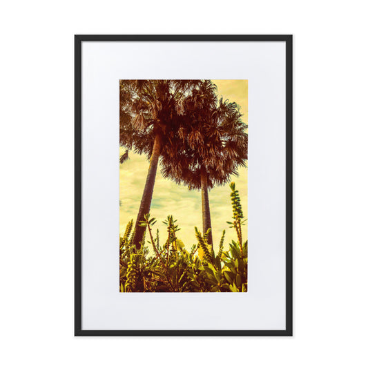 Two Palms