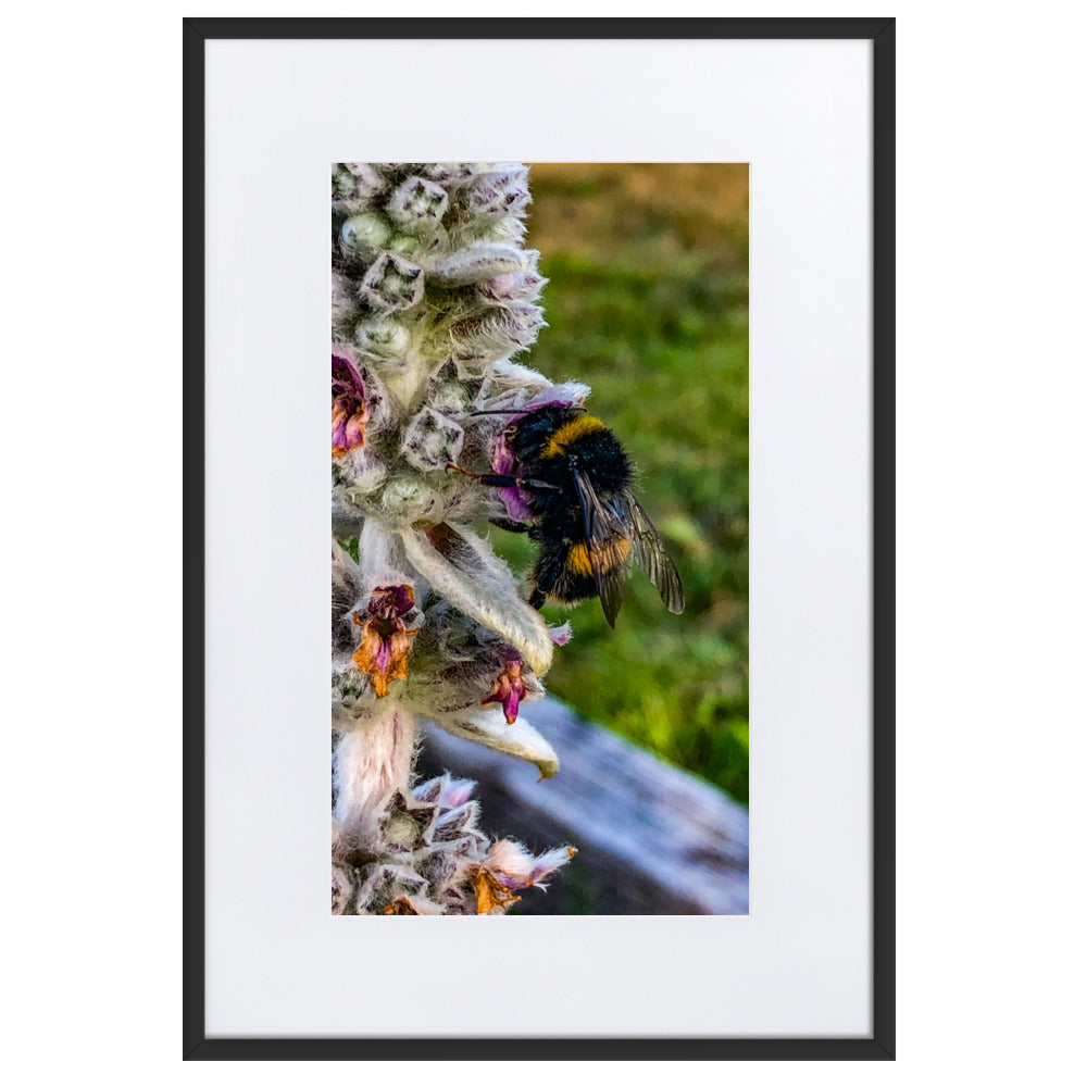 Fuzzy Bee