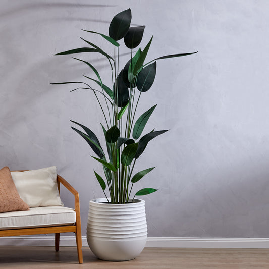 Sky Bird Plant Green