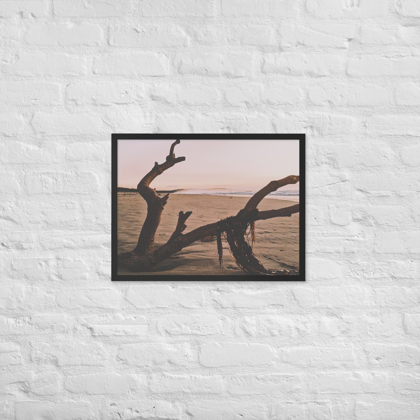 Drift Wood