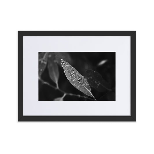 Droplets