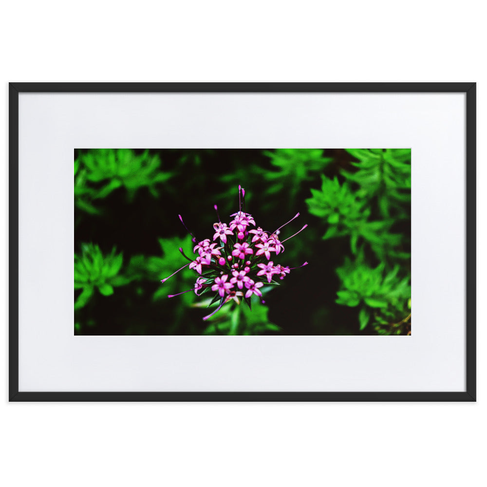 Firework Floral Print