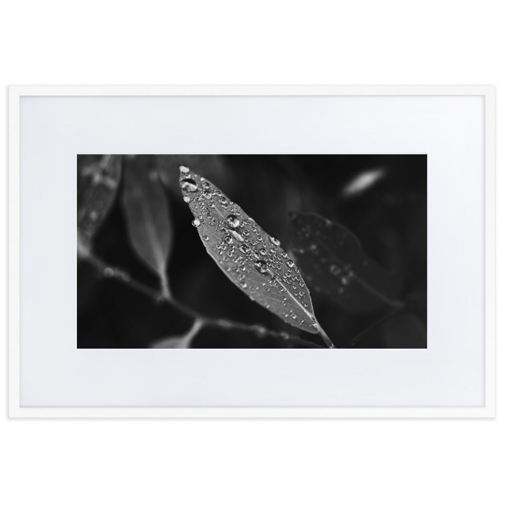Droplets