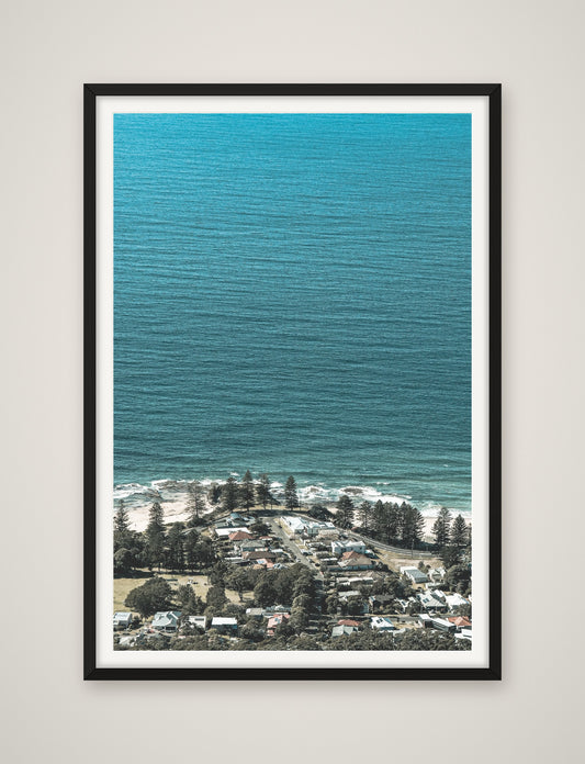 Pines by the Sea