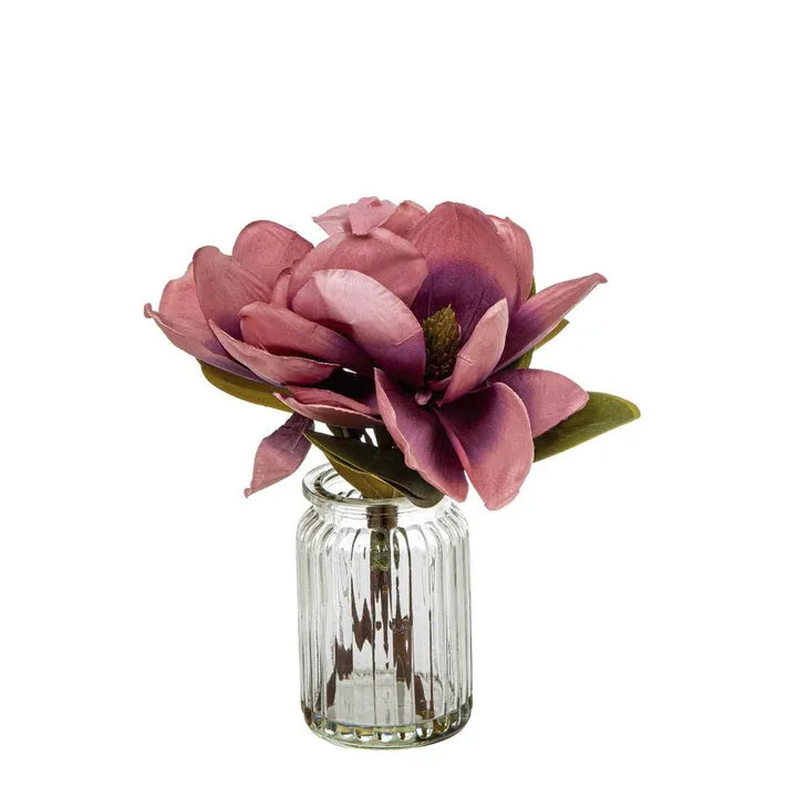 MAGNOLIA IN GLASS VASE 30CM PLUM