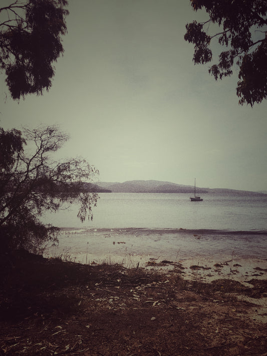 A Bay in Tas