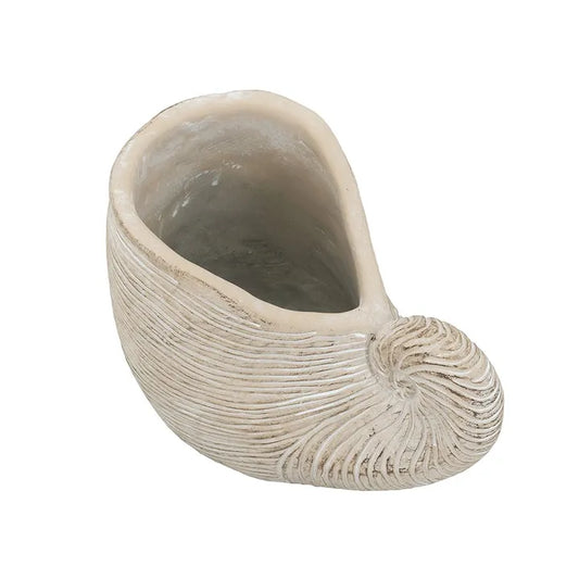 Nautica Shell Sculpture