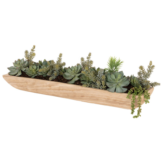 Echeveria Succulent Garden - Dansk Green