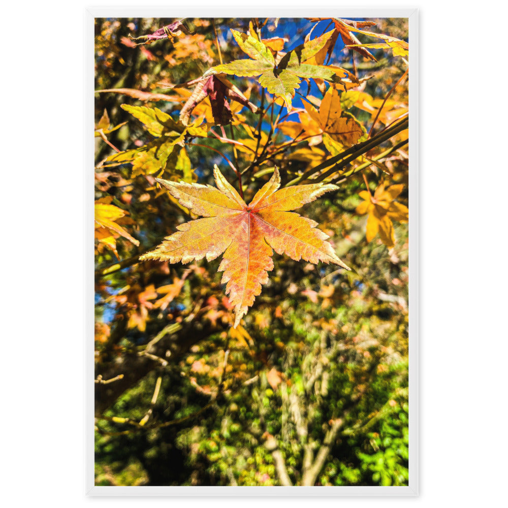Autumn Leaves