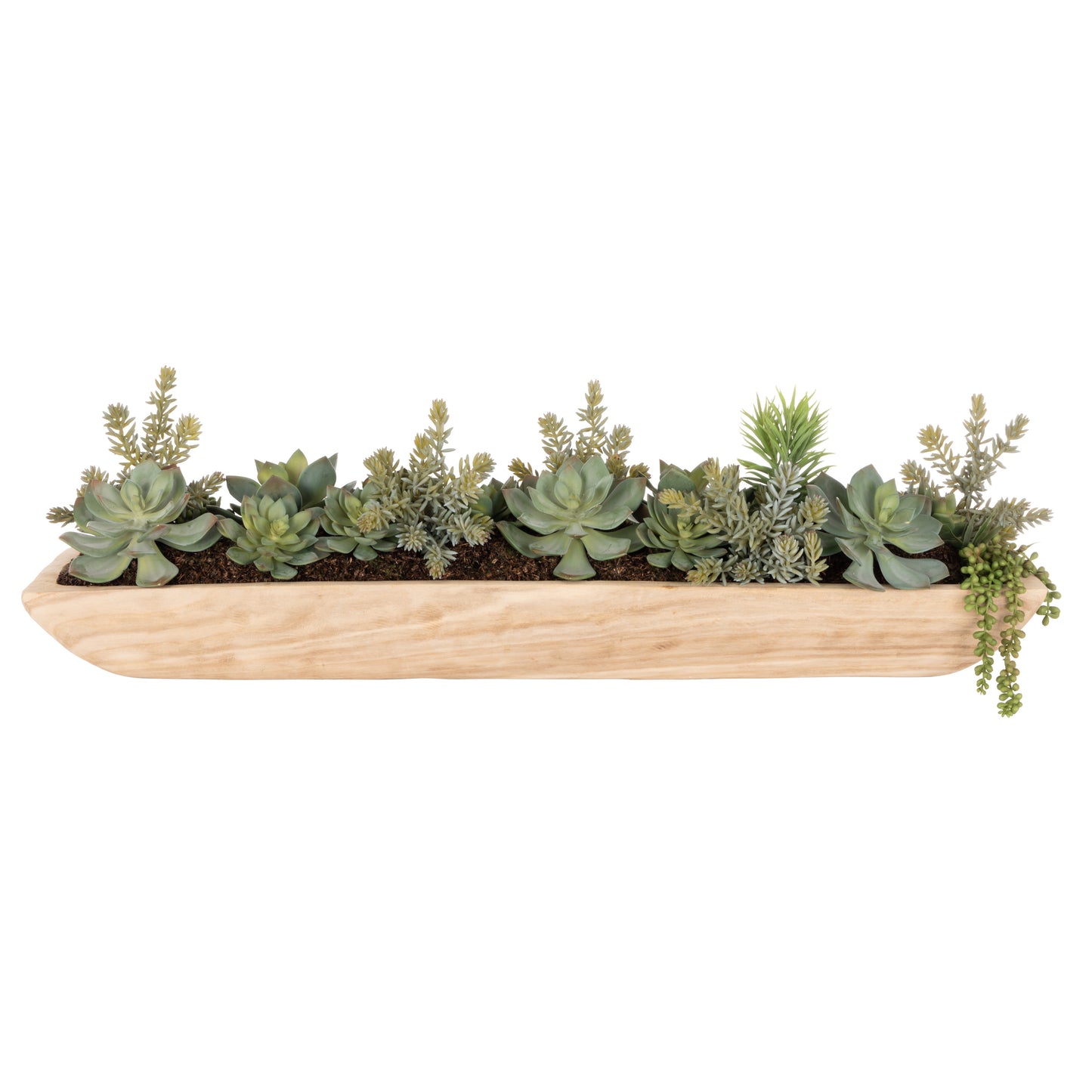 Echeveria Succulent Garden - Dansk Green
