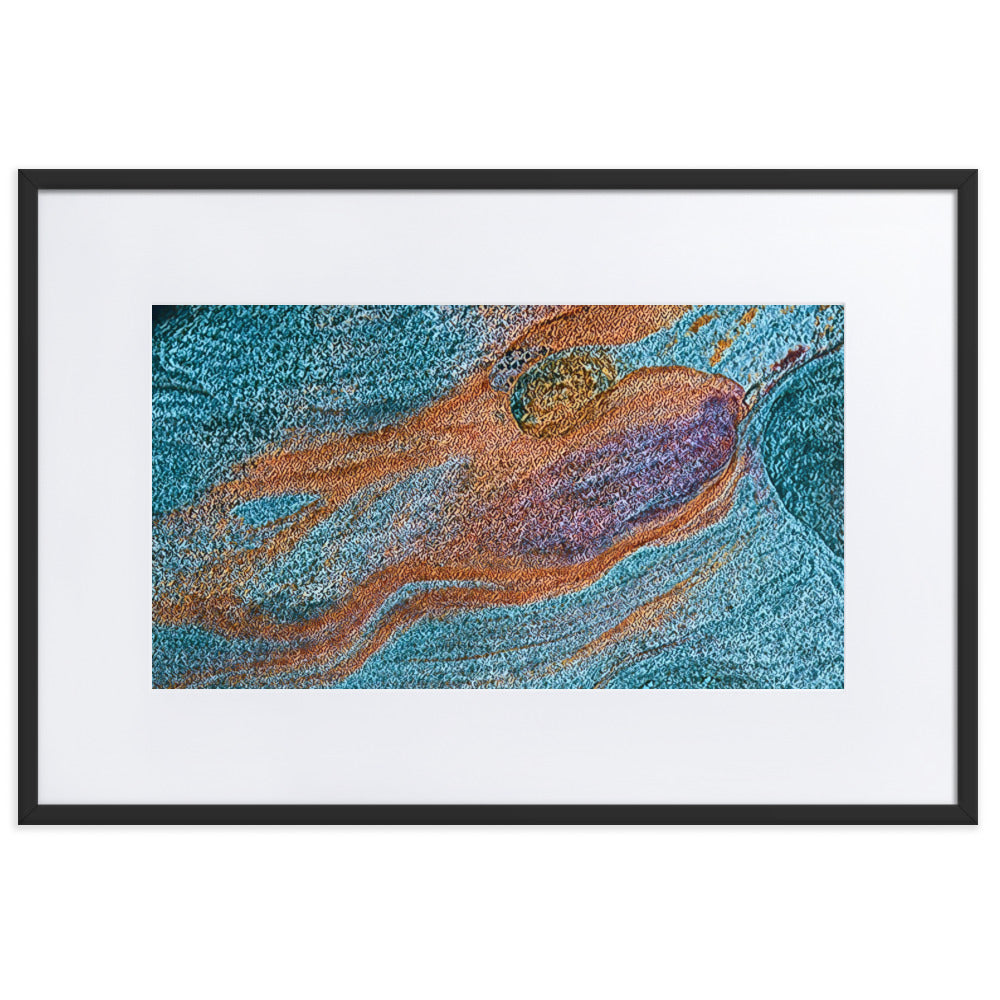 Abstracts in Nature