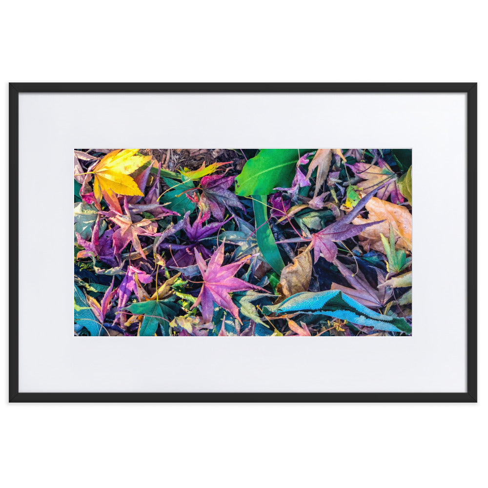 Fallen Leaves of Spring