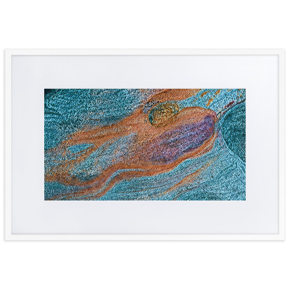 Abstracts in Nature