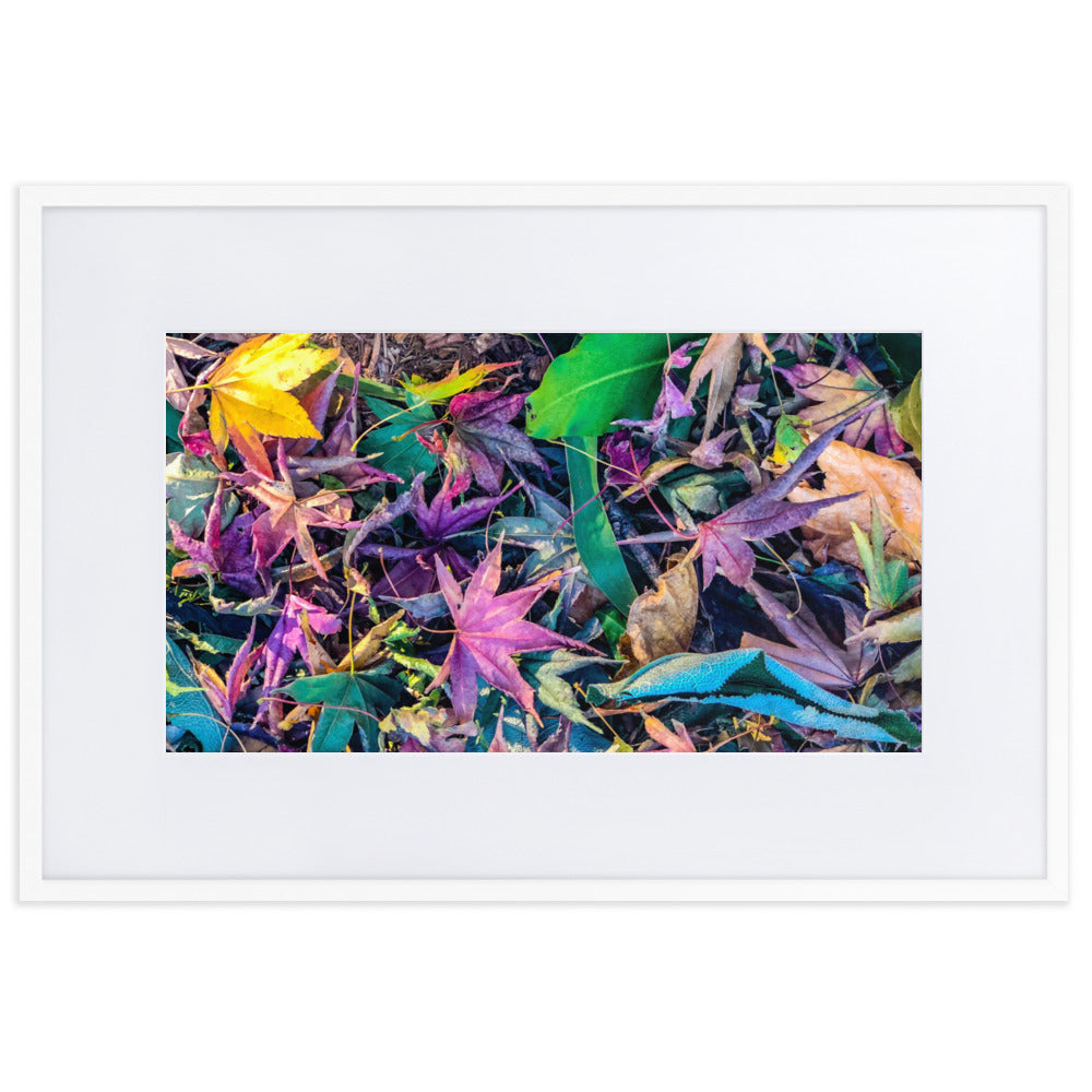 Fallen Leaves of Spring