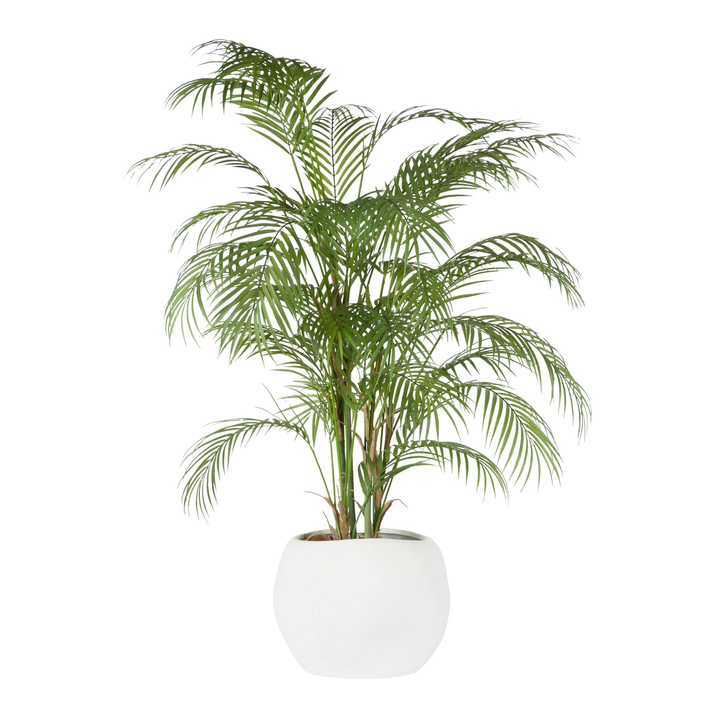 Phoenix Palm - Lyon Organic Planter Green & White