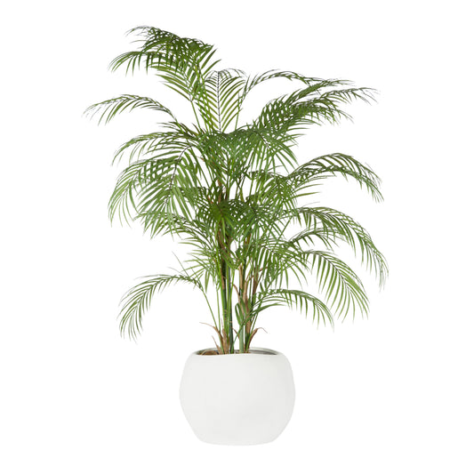 Phoenix Palm - Lyon Organic Planter Green & White