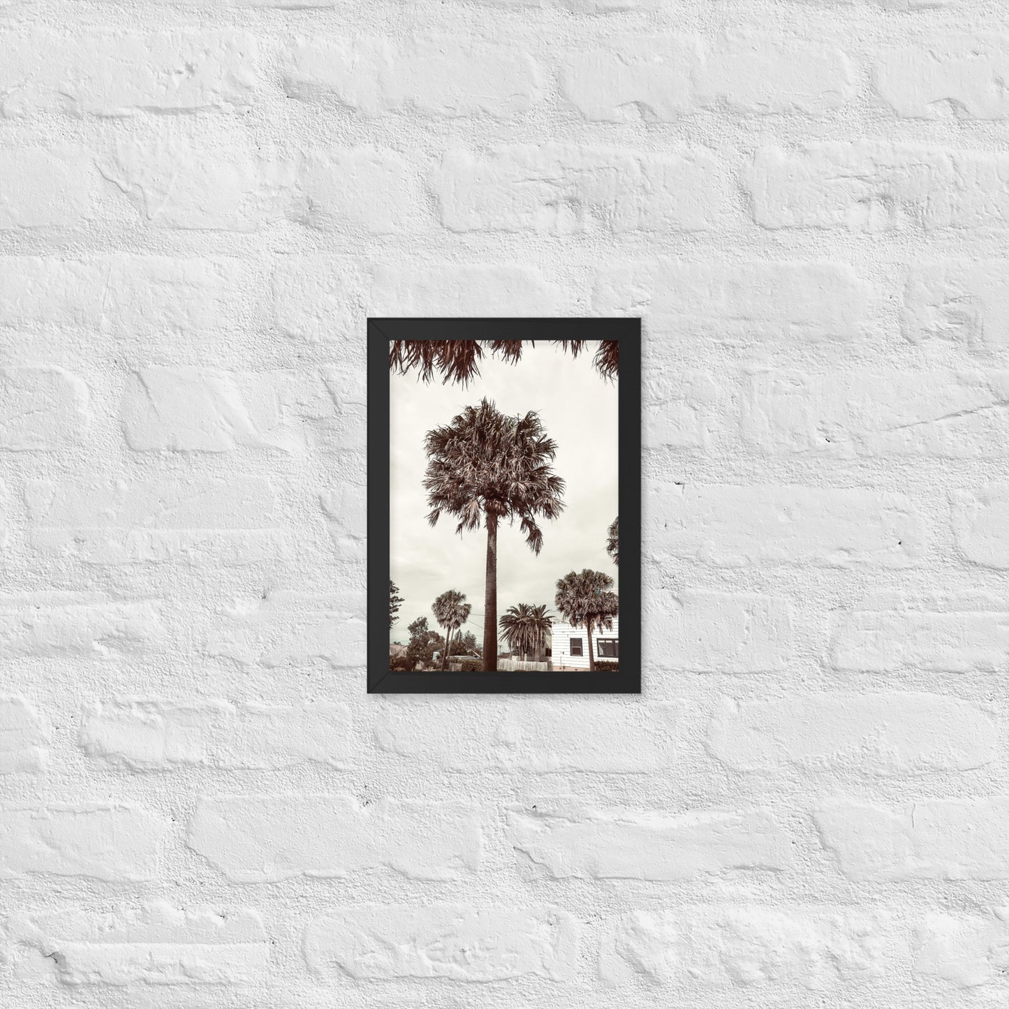 Palm View