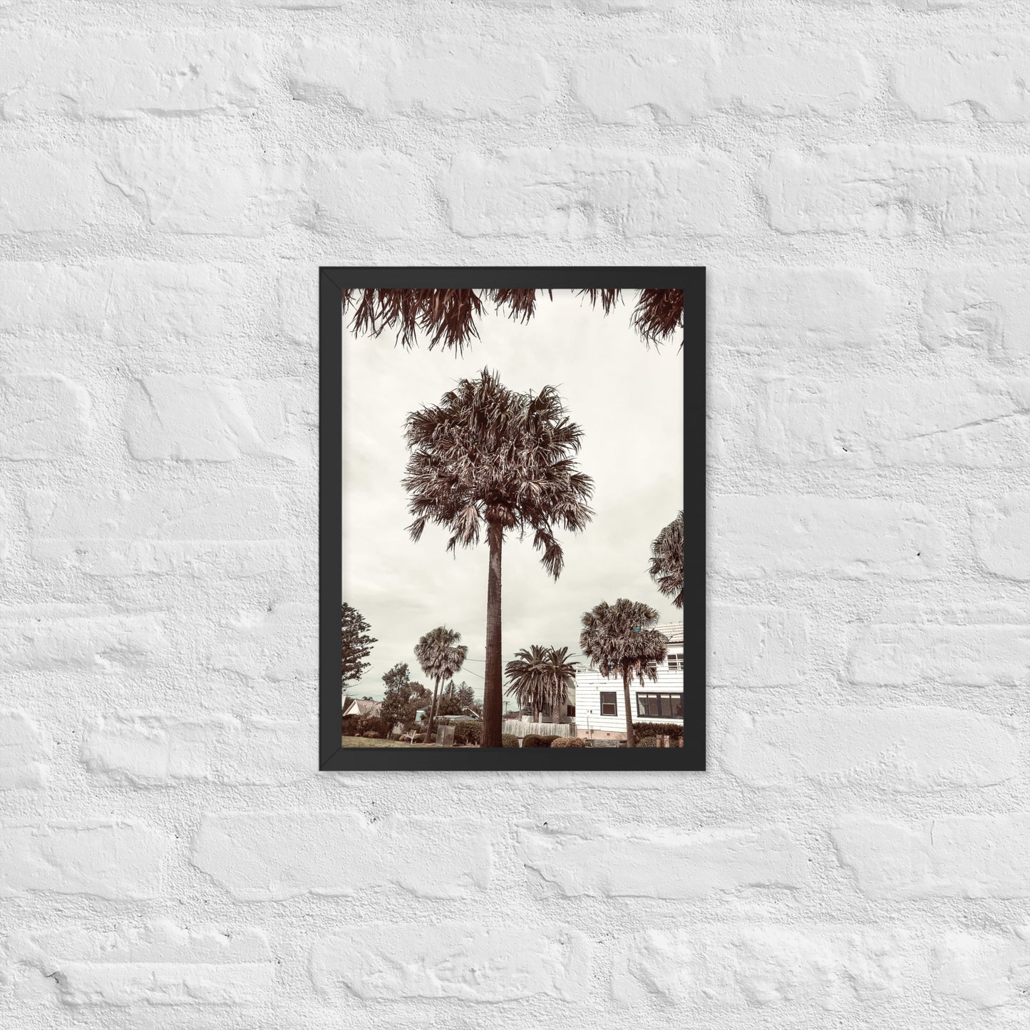 Palm View