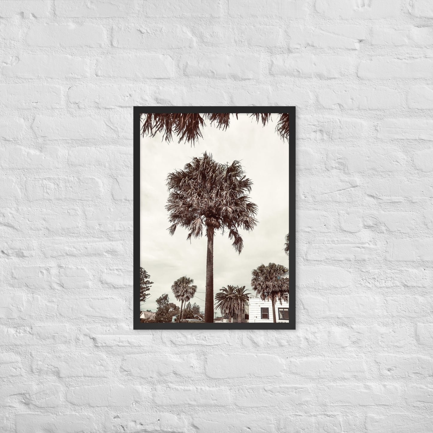 Palm View