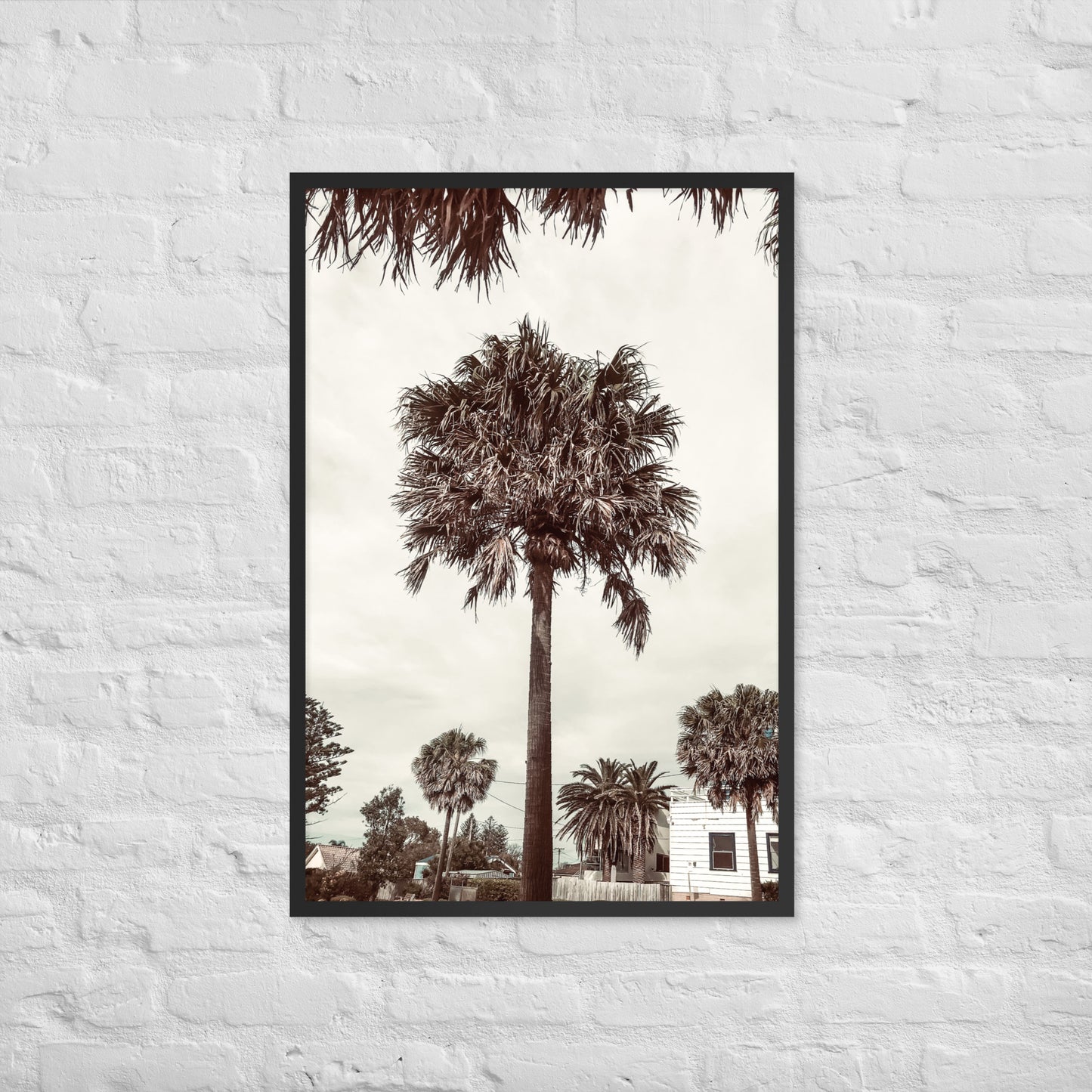 Palm View
