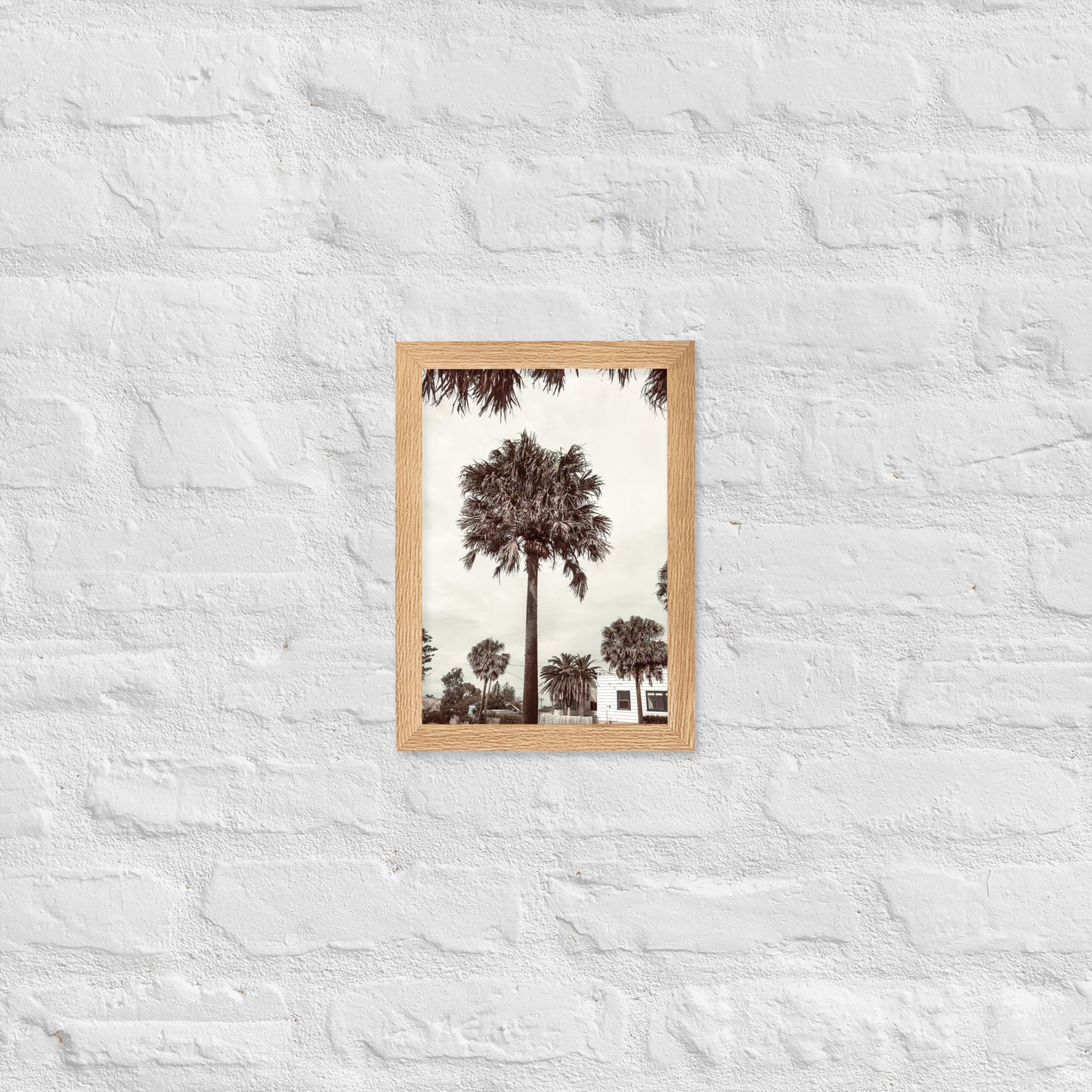 Palm View