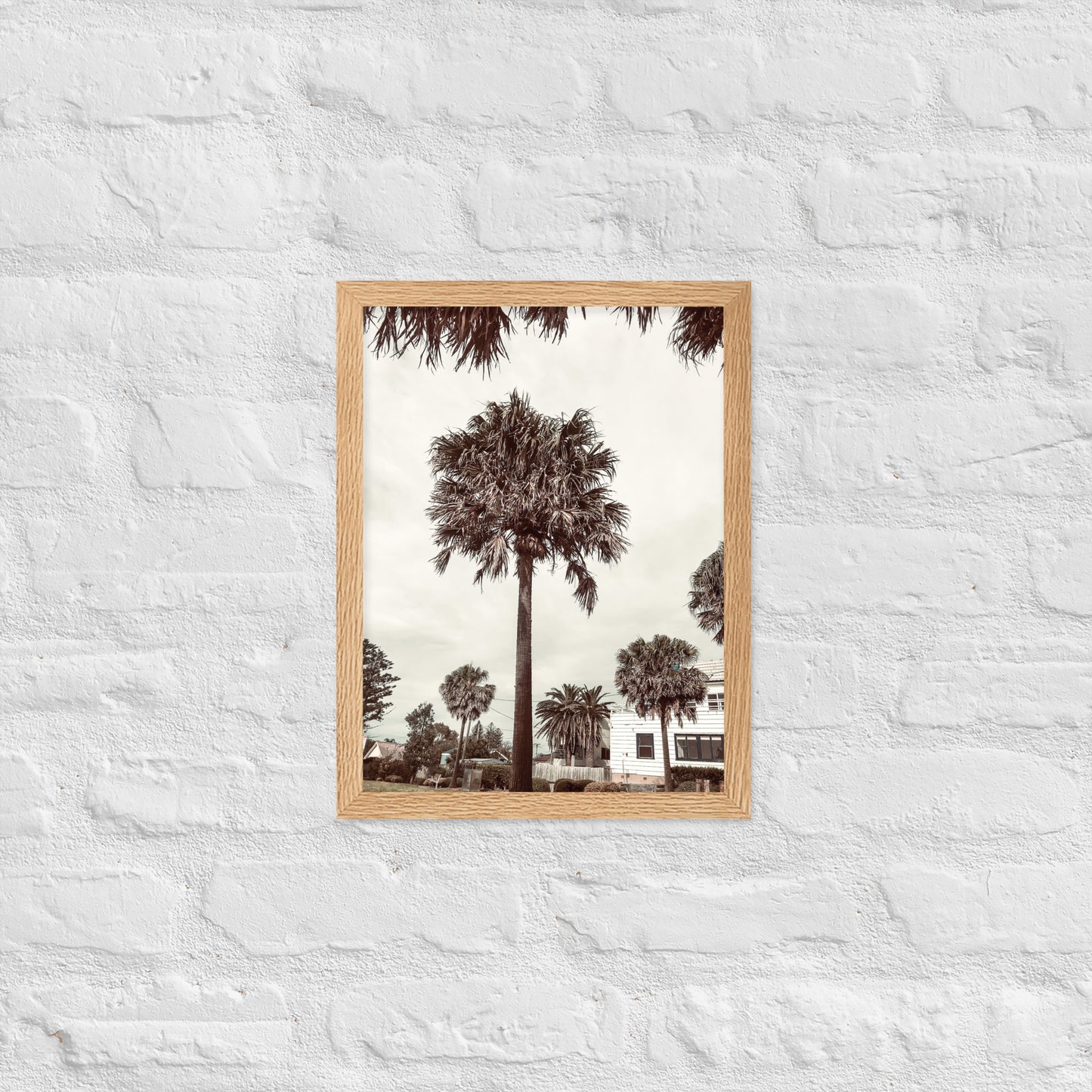 Palm View