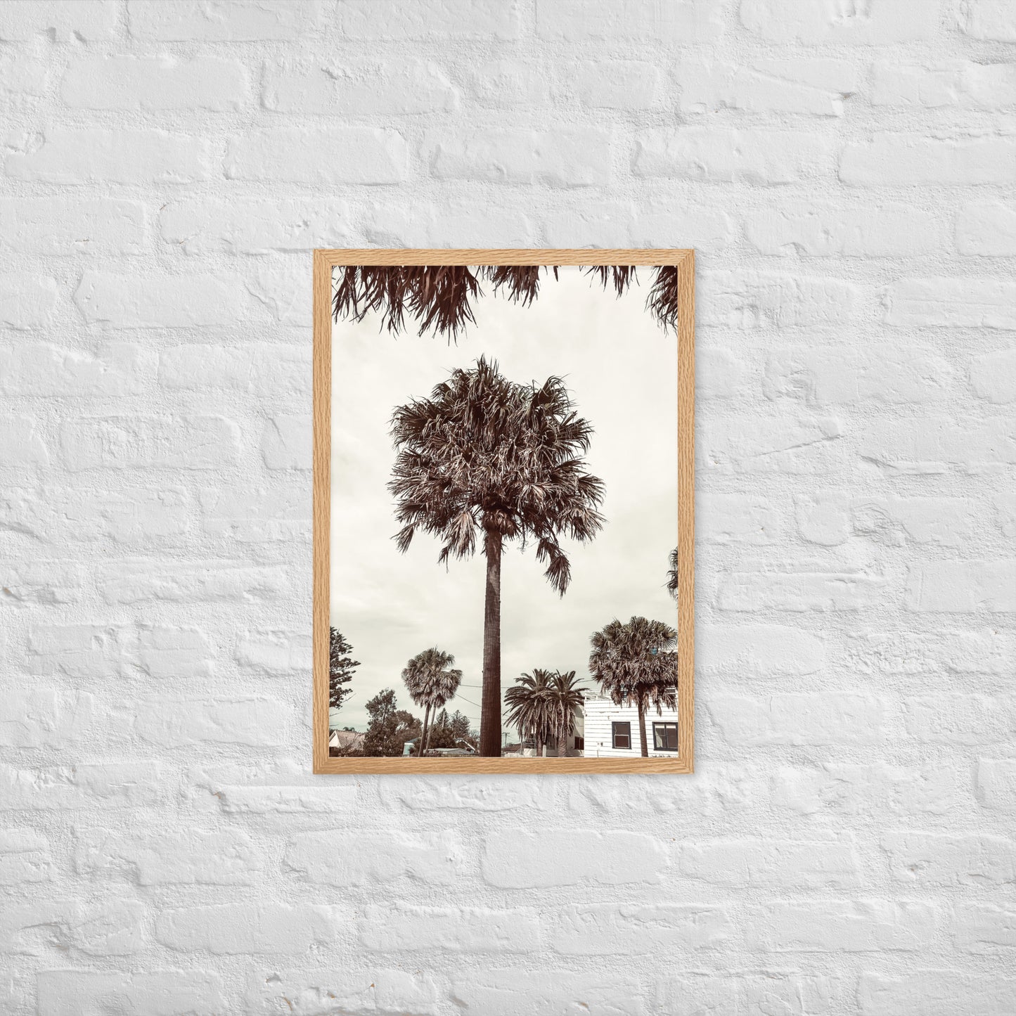 Palm View