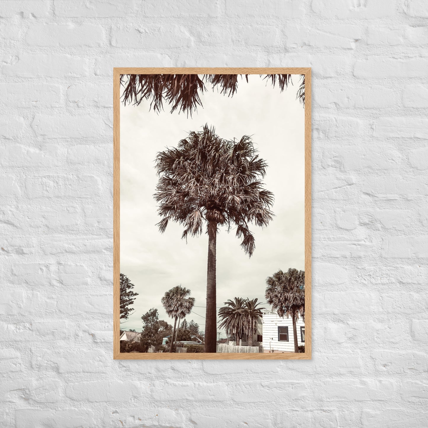 Palm View