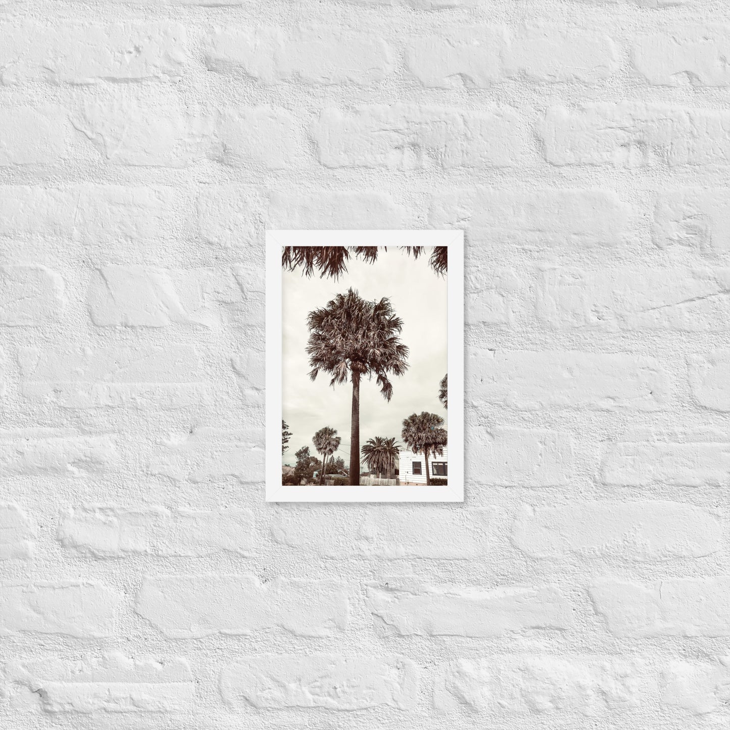 Palm View