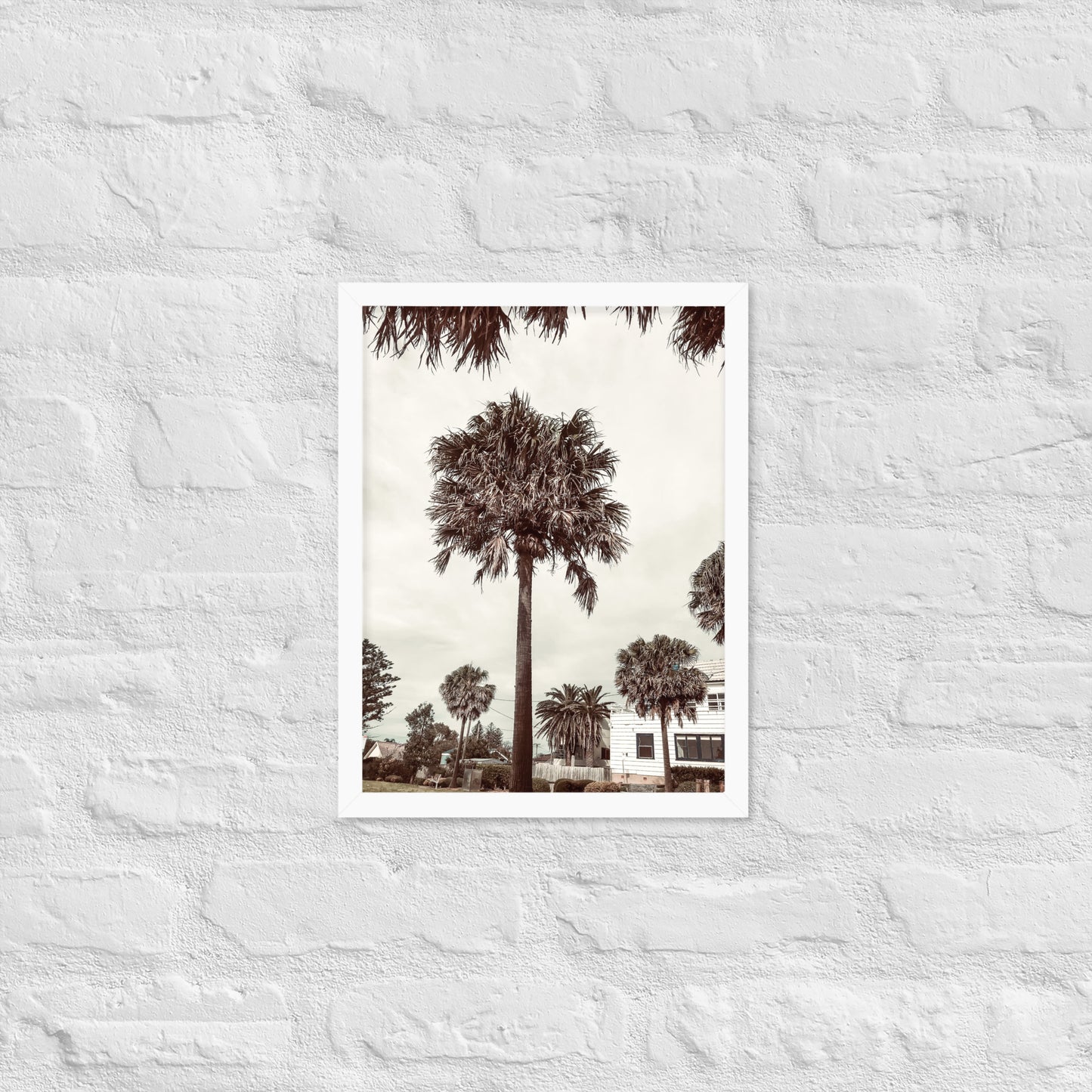 Palm View