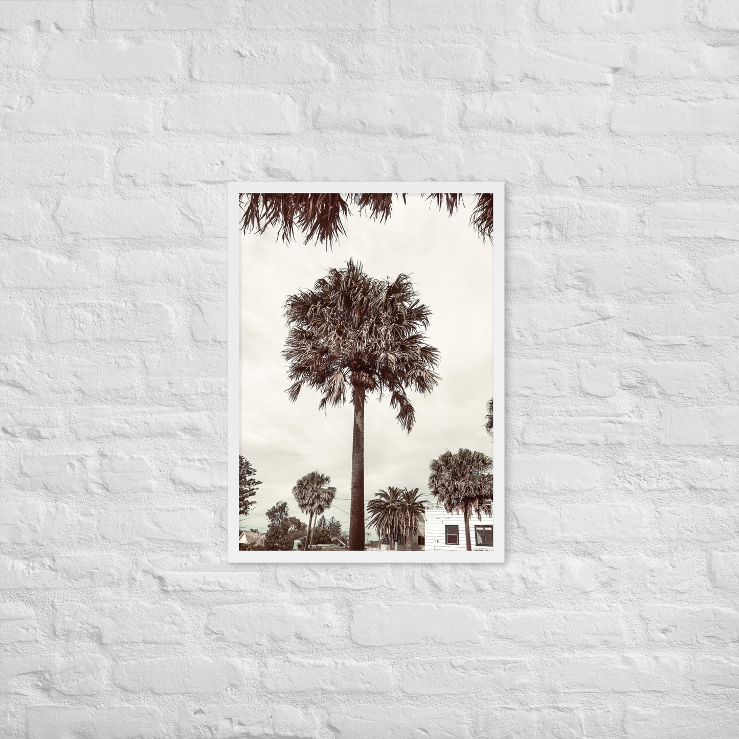 Palm View