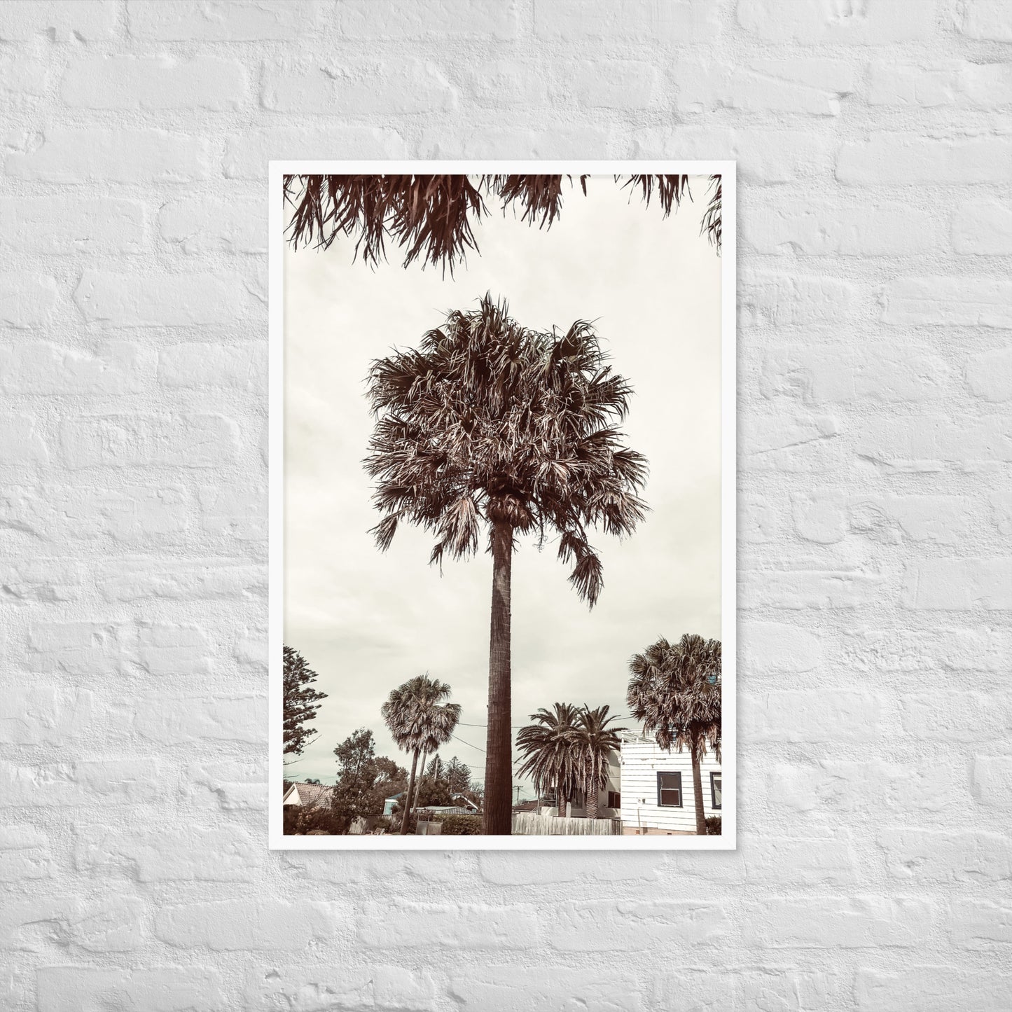 Palm View