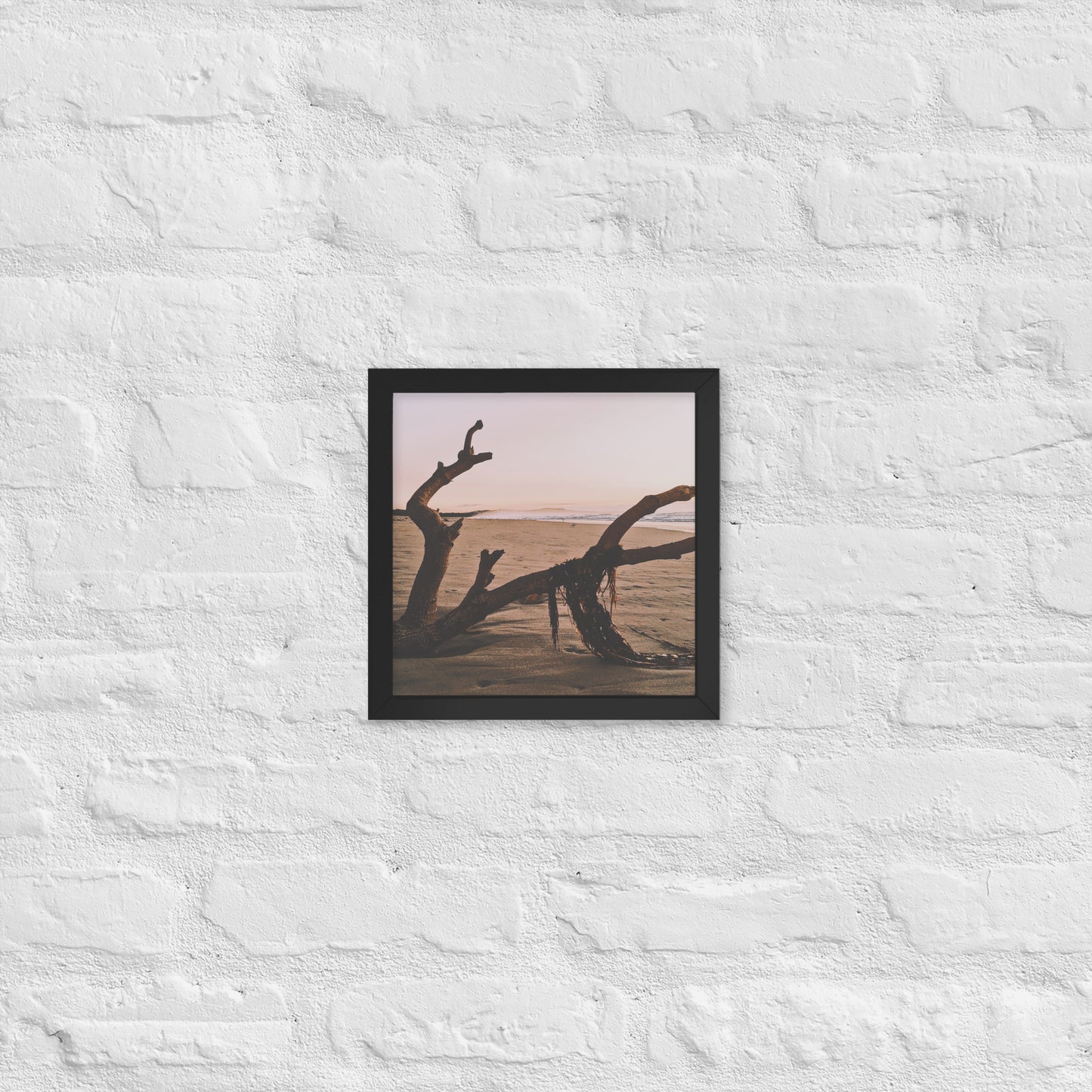 Drift Wood