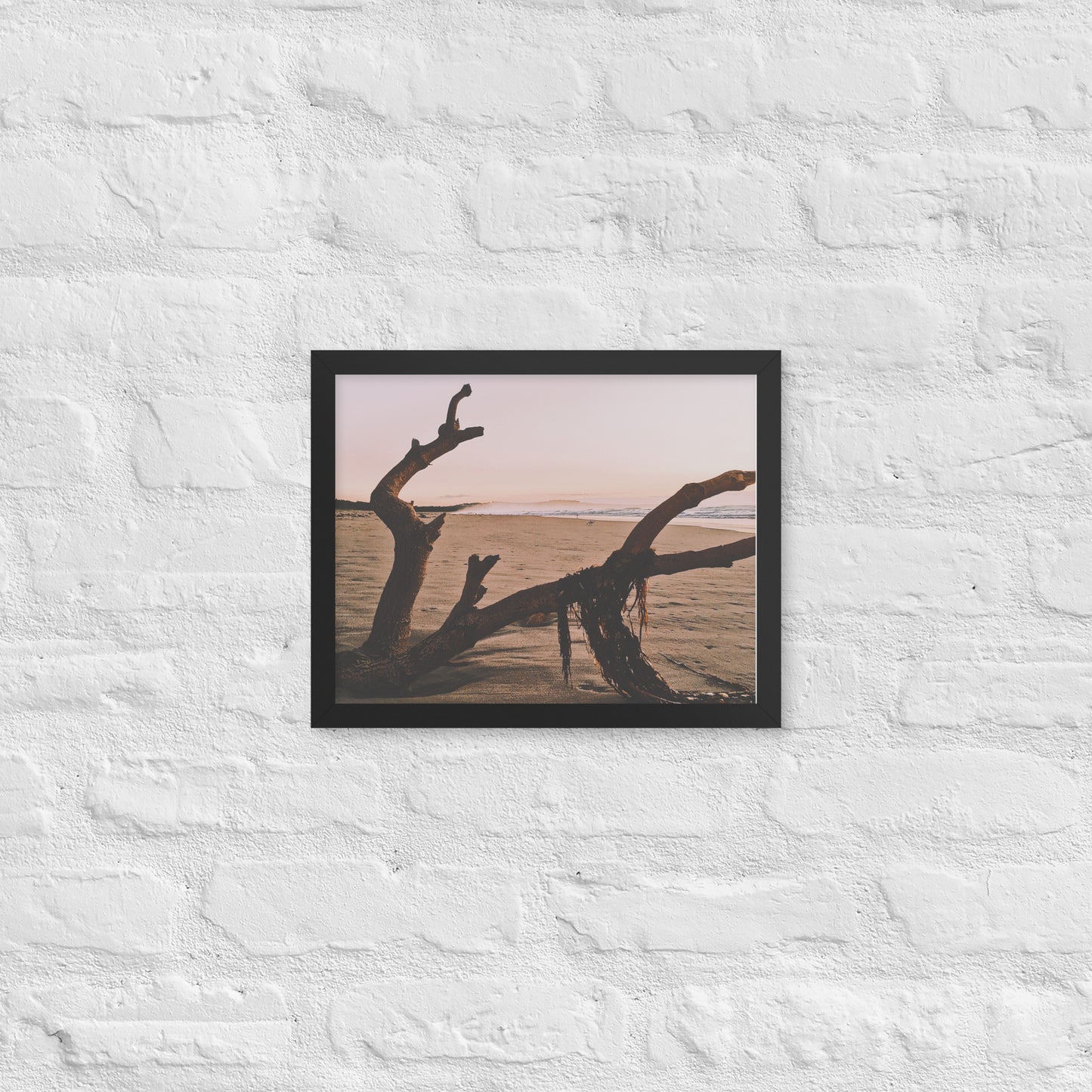Drift Wood
