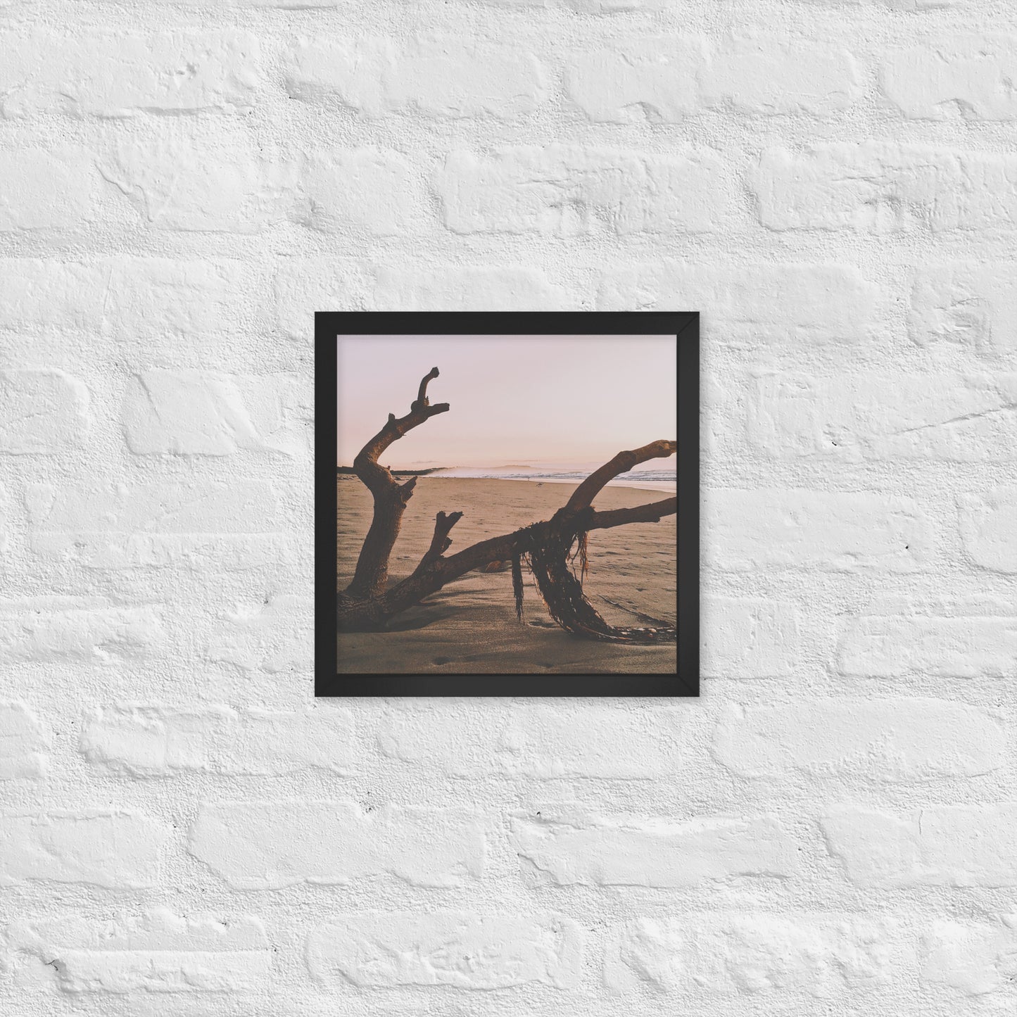 Drift Wood