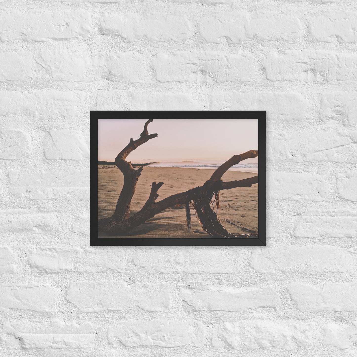 Drift Wood