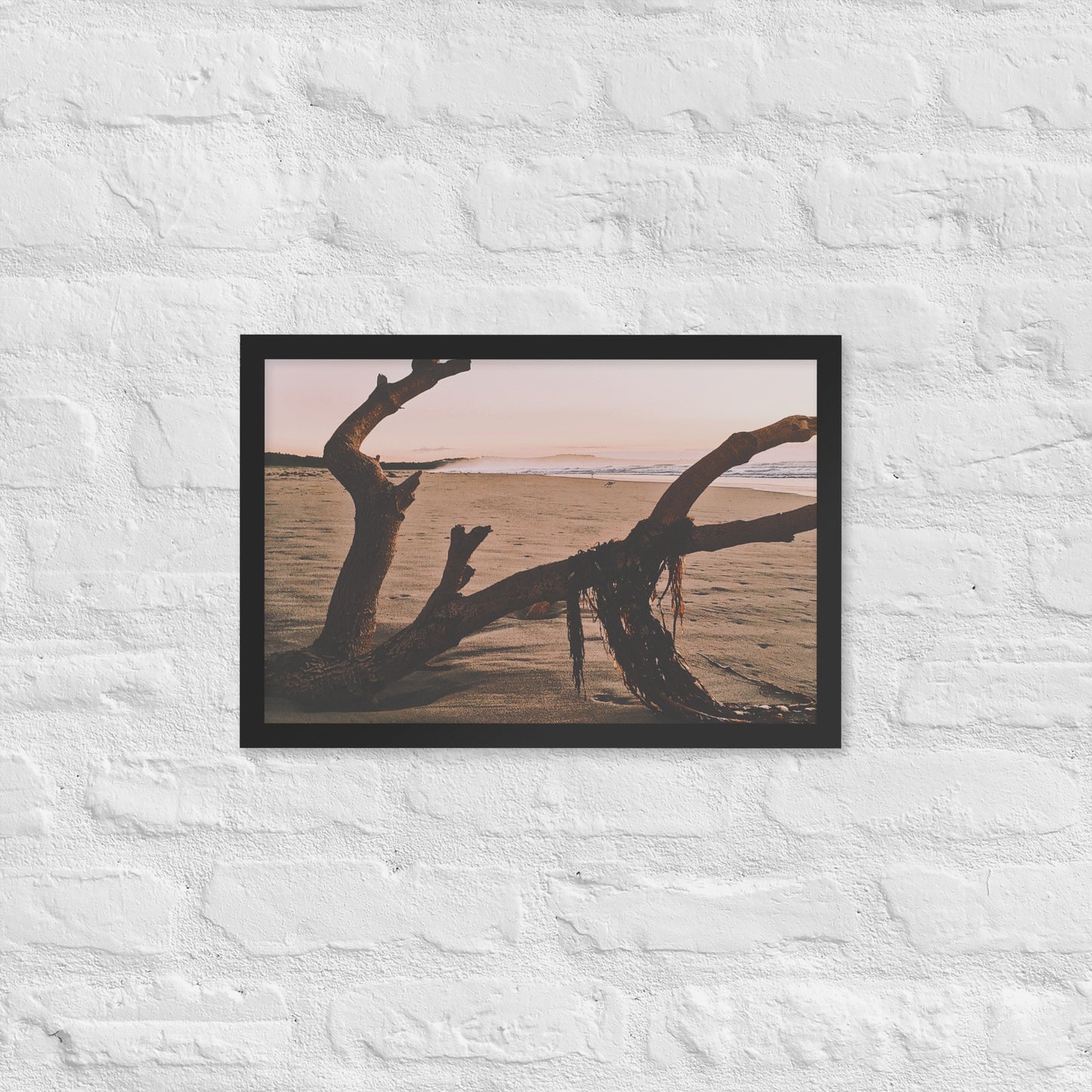 Drift Wood