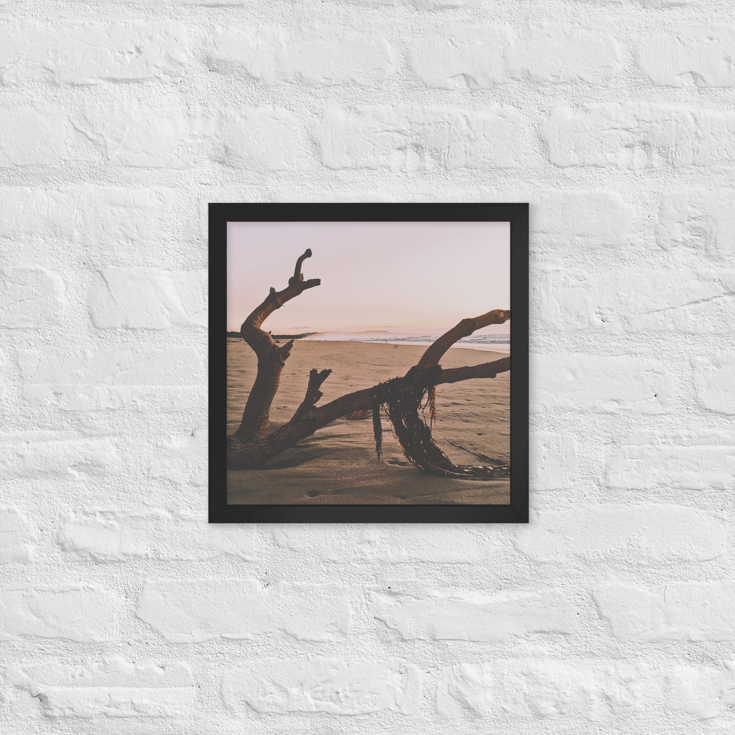 Drift Wood