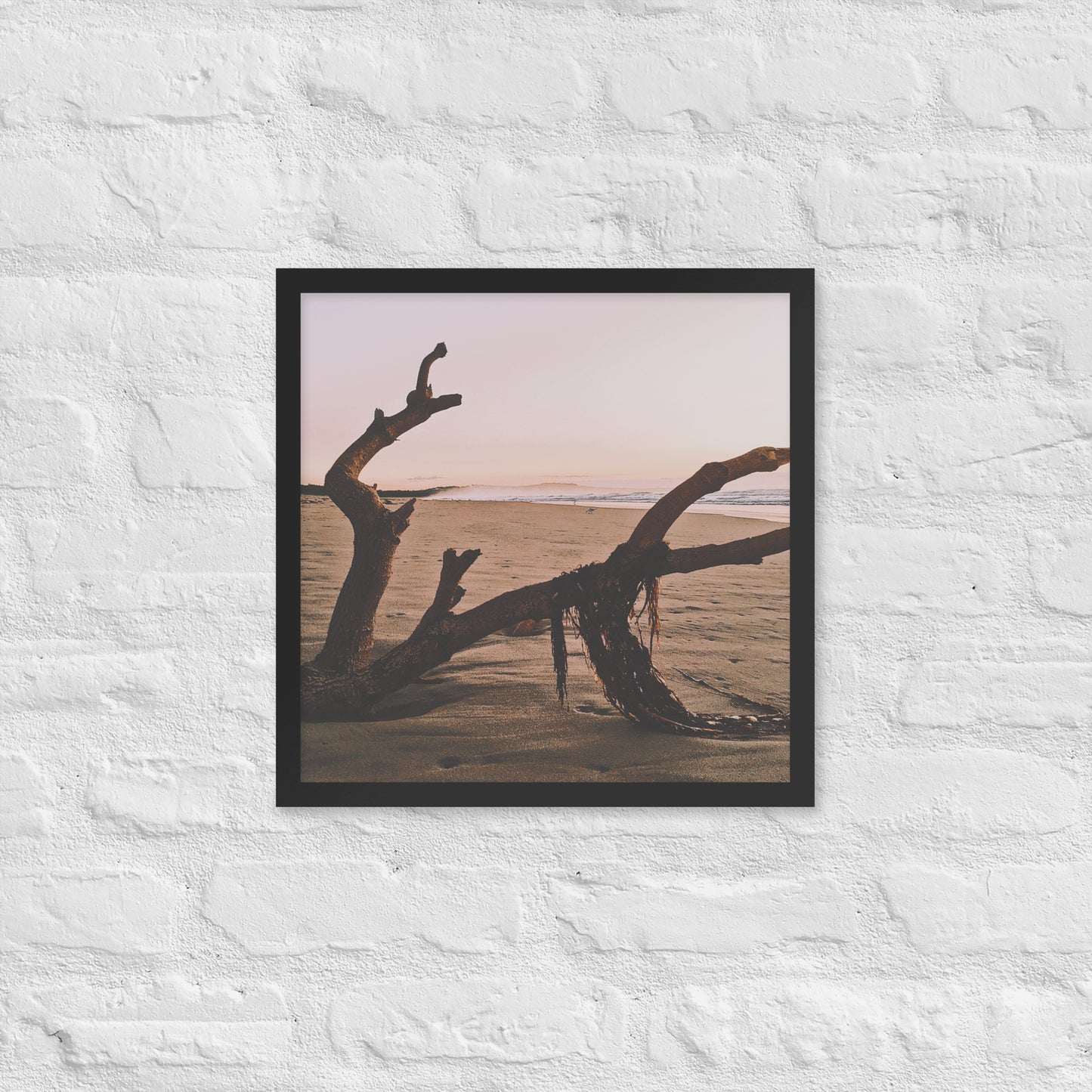 Drift Wood